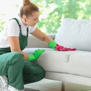 تصویر اصلی بهترین مواد شوینده مبل