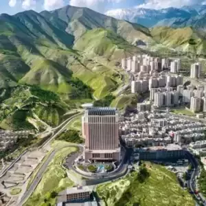 قالیشویی در شمال تهران