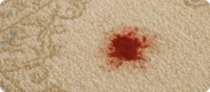 تطهیر فرش نجس