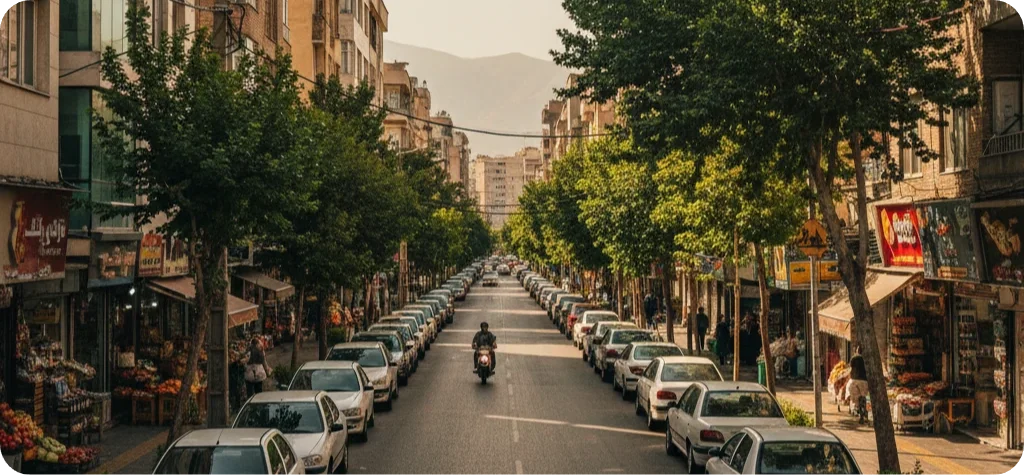 قالیشویی در محدوده شهرزیبا