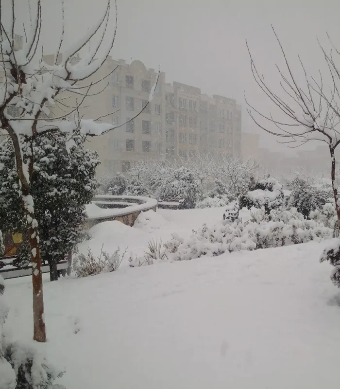 تصویر اصلی قالیشویی در پونک