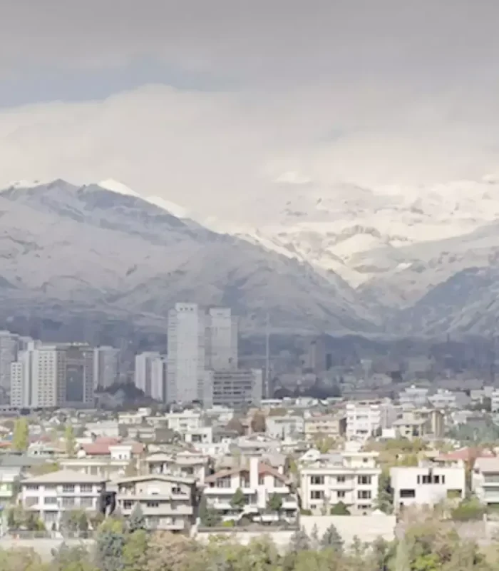 تصویر اصلی قالیشویی شرق تهران