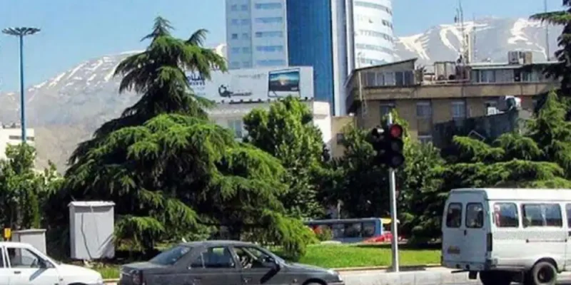 تصویر اصلی قالیشویی ونک