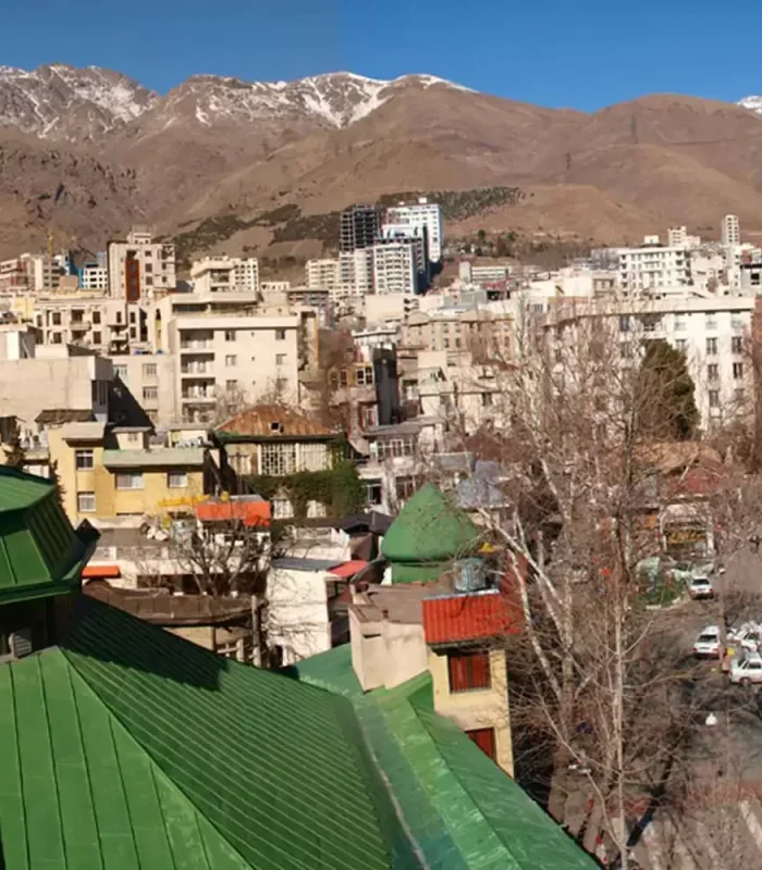 تصویر شاخص قالیشویی نیاوران